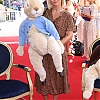 KimberleyWalsh_co_uk-019.jpg